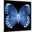 Miss Butterfly Formosana Sq - X-Ray Black Edition-Philippe Hugonnard-Mounted Photographic Print