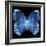 Miss Butterfly Formosana Sq - X-Ray Black Edition-Philippe Hugonnard-Framed Photographic Print