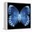 Miss Butterfly Formosana Sq - X-Ray Black Edition-Philippe Hugonnard-Framed Stretched Canvas