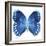 Miss Butterfly Formosana Sq - X-Ray White Edition-Philippe Hugonnard-Framed Photographic Print