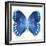 Miss Butterfly Formosana Sq - X-Ray White Edition-Philippe Hugonnard-Framed Photographic Print