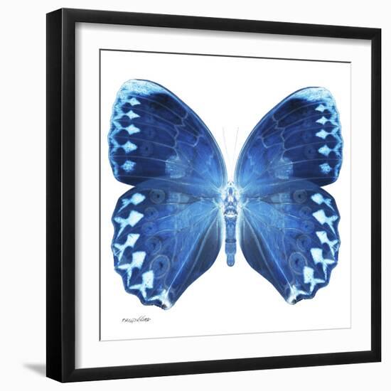 Miss Butterfly Formosana Sq - X-Ray White Edition-Philippe Hugonnard-Framed Photographic Print