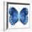 Miss Butterfly Formosana Sq - X-Ray White Edition-Philippe Hugonnard-Framed Photographic Print