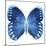 Miss Butterfly Formosana Sq - X-Ray White Edition-Philippe Hugonnard-Mounted Photographic Print
