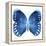Miss Butterfly Formosana Sq - X-Ray White Edition-Philippe Hugonnard-Framed Stretched Canvas