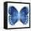 Miss Butterfly Formosana Sq - X-Ray White Edition-Philippe Hugonnard-Framed Stretched Canvas