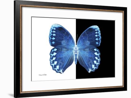 Miss Butterfly Formosana - X-Ray B&W Edition-Philippe Hugonnard-Framed Premium Photographic Print