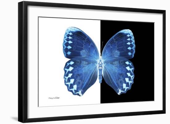 Miss Butterfly Formosana - X-Ray B&W Edition-Philippe Hugonnard-Framed Premium Photographic Print