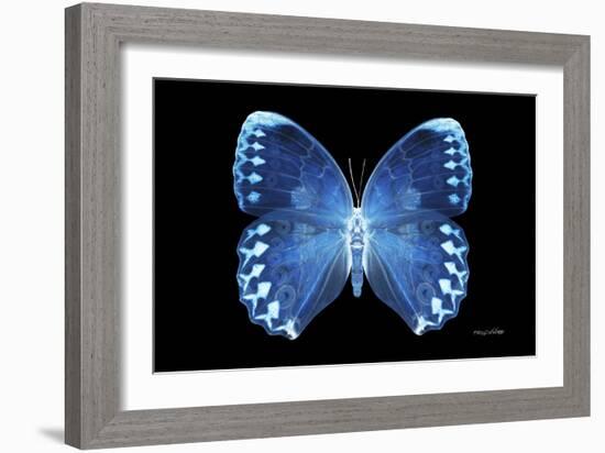 Miss Butterfly Formosana - X-Ray Black Edition-Philippe Hugonnard-Framed Photographic Print