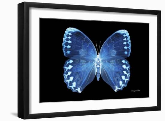 Miss Butterfly Formosana - X-Ray Black Edition-Philippe Hugonnard-Framed Premium Photographic Print