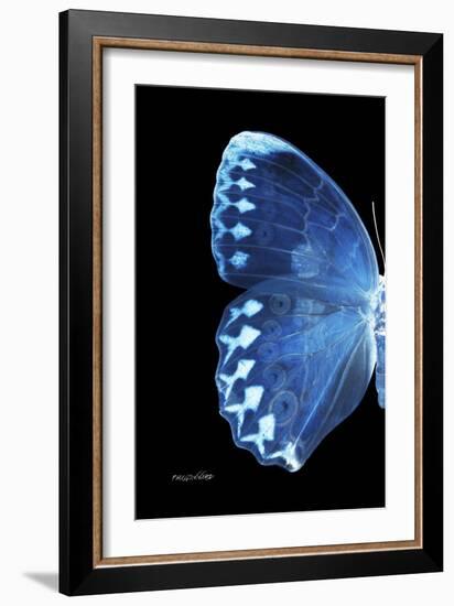 Miss Butterfly Formosana - X-Ray Left Black Edition-Philippe Hugonnard-Framed Photographic Print