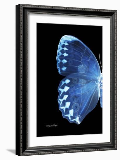 Miss Butterfly Formosana - X-Ray Left Black Edition-Philippe Hugonnard-Framed Photographic Print