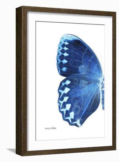 Miss Butterfly Formosana - X-Ray Left White Edition-Philippe Hugonnard-Framed Photographic Print