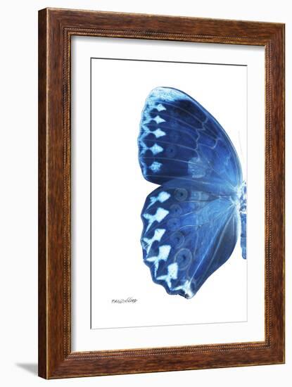 Miss Butterfly Formosana - X-Ray Left White Edition-Philippe Hugonnard-Framed Photographic Print