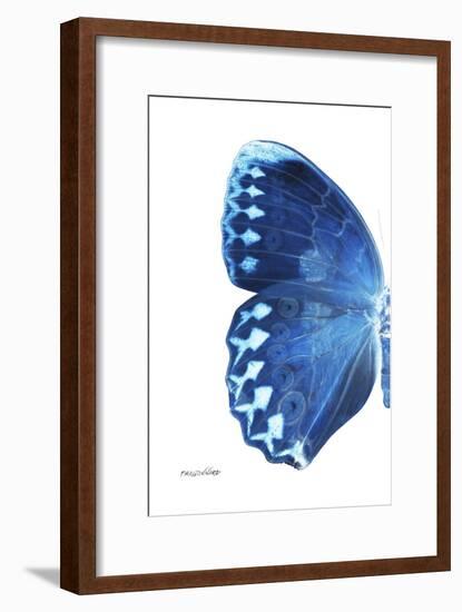 Miss Butterfly Formosana - X-Ray Left White Edition-Philippe Hugonnard-Framed Photographic Print