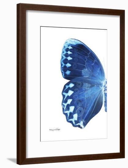 Miss Butterfly Formosana - X-Ray Left White Edition-Philippe Hugonnard-Framed Photographic Print