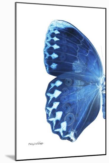 Miss Butterfly Formosana - X-Ray Left White Edition-Philippe Hugonnard-Mounted Photographic Print