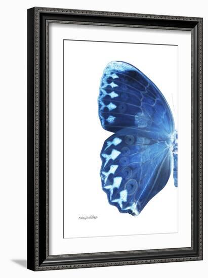 Miss Butterfly Formosana - X-Ray Left White Edition-Philippe Hugonnard-Framed Photographic Print