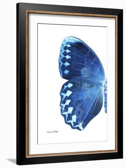 Miss Butterfly Formosana - X-Ray Left White Edition-Philippe Hugonnard-Framed Premium Photographic Print