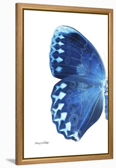 Miss Butterfly Formosana - X-Ray Left White Edition-Philippe Hugonnard-Framed Premier Image Canvas