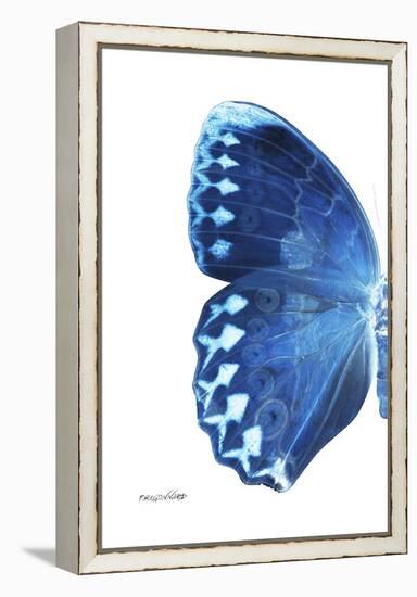 Miss Butterfly Formosana - X-Ray Left White Edition-Philippe Hugonnard-Framed Premier Image Canvas