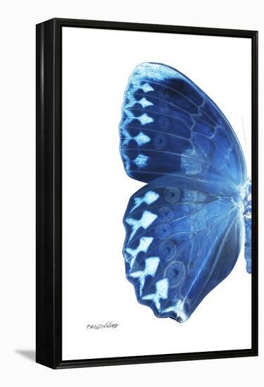 Miss Butterfly Formosana - X-Ray Left White Edition-Philippe Hugonnard-Framed Premier Image Canvas