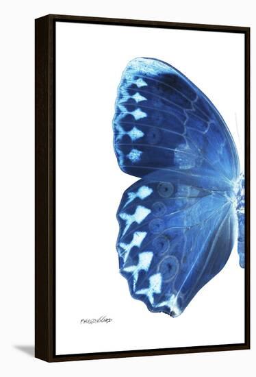 Miss Butterfly Formosana - X-Ray Left White Edition-Philippe Hugonnard-Framed Premier Image Canvas