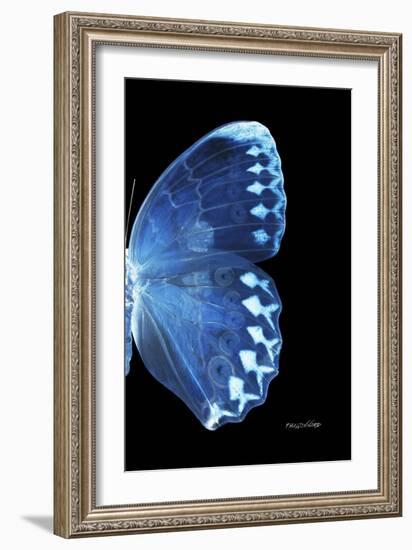 Miss Butterfly Formosana - X-Ray Right Black Edition-Philippe Hugonnard-Framed Photographic Print