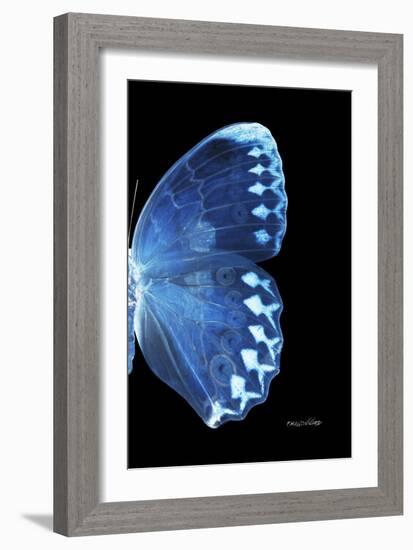 Miss Butterfly Formosana - X-Ray Right Black Edition-Philippe Hugonnard-Framed Photographic Print