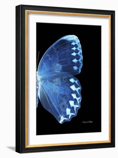 Miss Butterfly Formosana - X-Ray Right Black Edition-Philippe Hugonnard-Framed Photographic Print