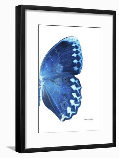 Miss Butterfly Formosana - X-Ray Right White Edition-Philippe Hugonnard-Framed Photographic Print