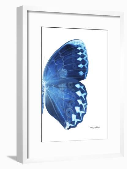 Miss Butterfly Formosana - X-Ray Right White Edition-Philippe Hugonnard-Framed Photographic Print