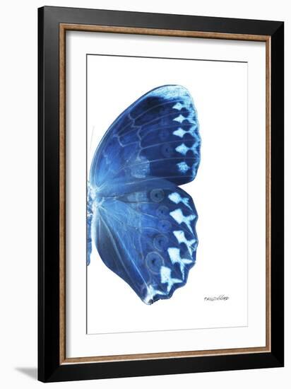 Miss Butterfly Formosana - X-Ray Right White Edition-Philippe Hugonnard-Framed Photographic Print