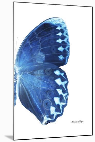 Miss Butterfly Formosana - X-Ray Right White Edition-Philippe Hugonnard-Mounted Premium Photographic Print