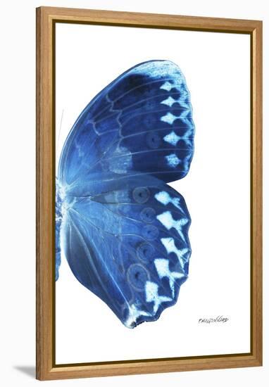 Miss Butterfly Formosana - X-Ray Right White Edition-Philippe Hugonnard-Framed Premier Image Canvas