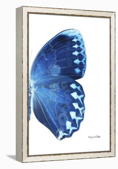 Miss Butterfly Formosana - X-Ray Right White Edition-Philippe Hugonnard-Framed Premier Image Canvas