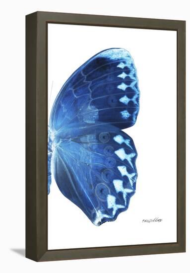 Miss Butterfly Formosana - X-Ray Right White Edition-Philippe Hugonnard-Framed Premier Image Canvas