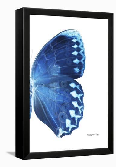 Miss Butterfly Formosana - X-Ray Right White Edition-Philippe Hugonnard-Framed Premier Image Canvas