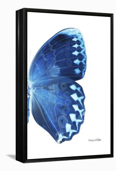 Miss Butterfly Formosana - X-Ray Right White Edition-Philippe Hugonnard-Framed Premier Image Canvas