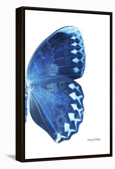 Miss Butterfly Formosana - X-Ray Right White Edition-Philippe Hugonnard-Framed Premier Image Canvas