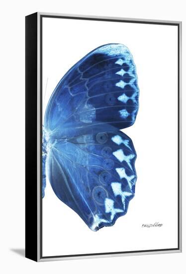 Miss Butterfly Formosana - X-Ray Right White Edition-Philippe Hugonnard-Framed Premier Image Canvas