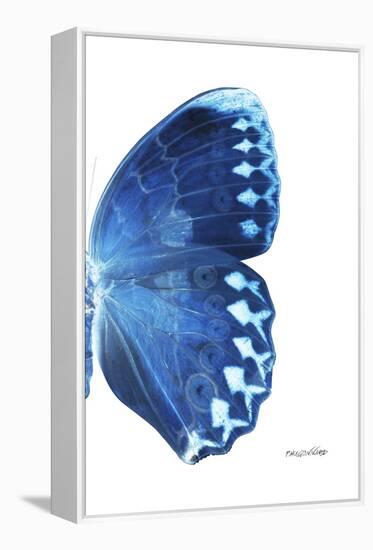 Miss Butterfly Formosana - X-Ray Right White Edition-Philippe Hugonnard-Framed Premier Image Canvas