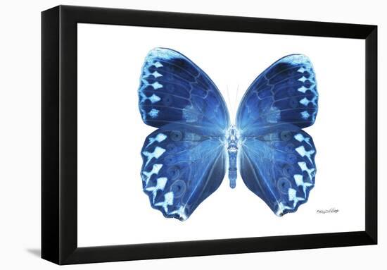 Miss Butterfly Formosana - X-Ray White Edition-Philippe Hugonnard-Framed Premier Image Canvas