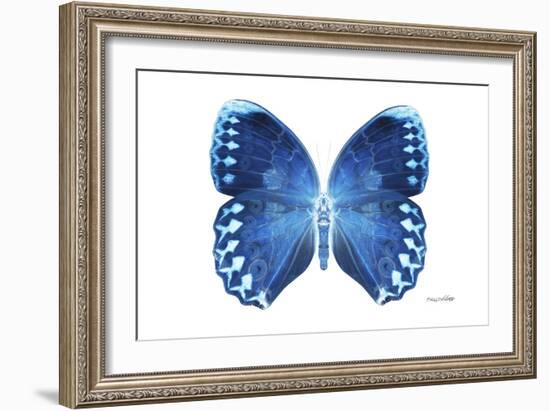 Miss Butterfly Formosana - X-Ray White Edition-Philippe Hugonnard-Framed Photographic Print