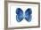 Miss Butterfly Formosana - X-Ray White Edition-Philippe Hugonnard-Framed Photographic Print