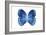 Miss Butterfly Formosana - X-Ray White Edition-Philippe Hugonnard-Framed Photographic Print