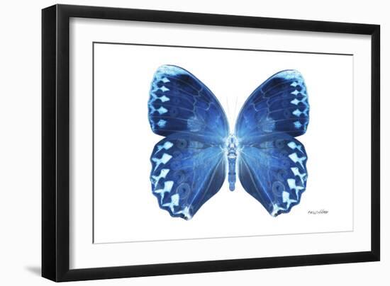 Miss Butterfly Formosana - X-Ray White Edition-Philippe Hugonnard-Framed Photographic Print