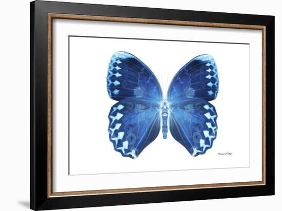 Miss Butterfly Formosana - X-Ray White Edition-Philippe Hugonnard-Framed Photographic Print