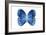 Miss Butterfly Formosana - X-Ray White Edition-Philippe Hugonnard-Framed Photographic Print