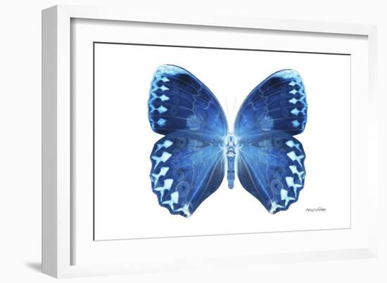 Miss Butterfly Formosana - X-Ray White Edition-Philippe Hugonnard-Framed Photographic Print